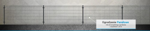 Ogrodzenie panelowe 3D kompletny zestaw 1,23m 100m RAL 7016 / Orion Light - Kompletne ogrodzenia zestawy - Zdjęcie nr 12
