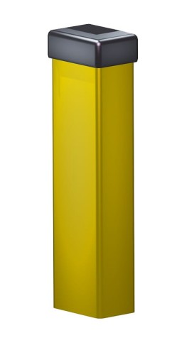 S1 zolty.jpg