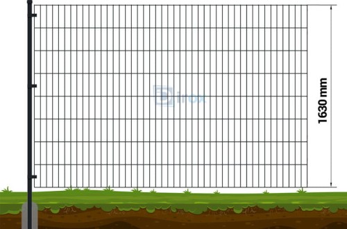 4777.jpg
