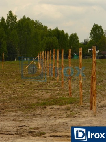 Montaż ogrodzenia tymczasowego z siatki leśnej - Siatka leśna - Zdjęcie nr 35